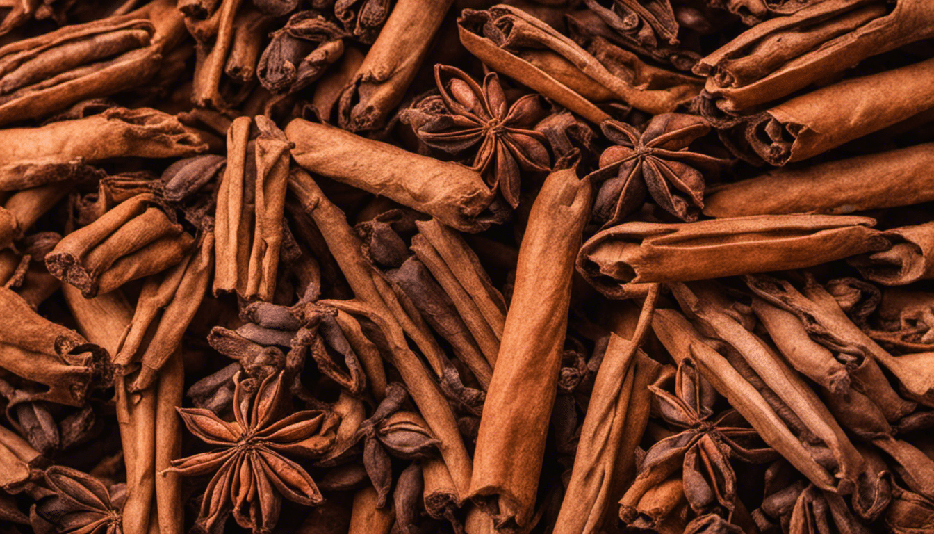 Indonesian Cinnamon