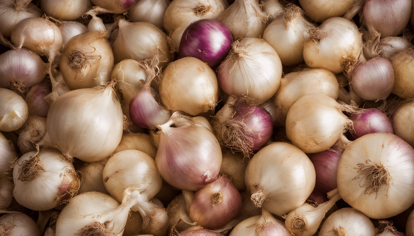 Pickling onions in a jar